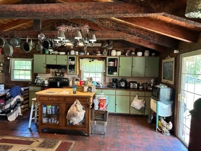 Log Cabin and 49 +/- Acres in Alton Missouri - image 3
