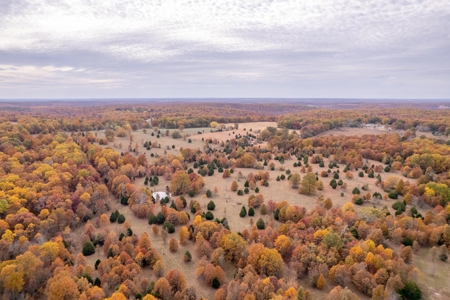 Picturesque 132.28 +/- Acres in the Ozarks - image 15