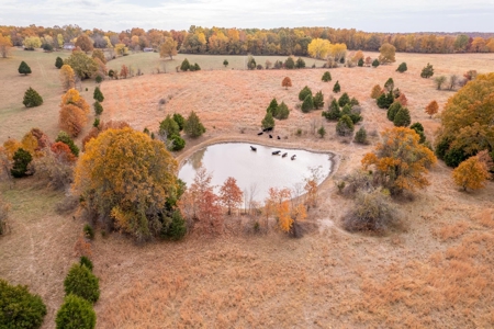 Picturesque 132.28 +/- Acres in the Ozarks - image 12