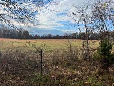 Picturesque 132.28 +/- Acres in the Ozarks - image 19