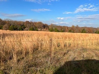 Picturesque 132.28 +/- Acres in the Ozarks - image 20