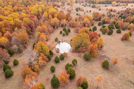 Picturesque 132.28 +/- Acres in the Ozarks - image 14