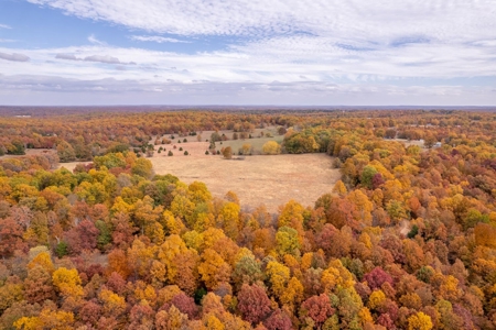 Picturesque 132.28 +/- Acres in the Ozarks - image 10