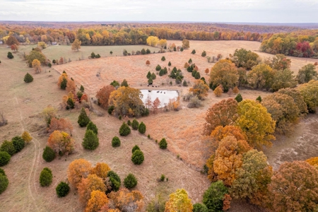 Picturesque 132.28 +/- Acres in the Ozarks - image 13