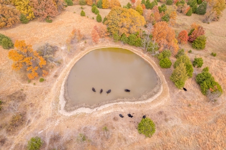 Picturesque 132.28 +/- Acres in the Ozarks - image 11
