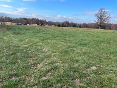 Picturesque 132.28 +/- Acres in the Ozarks - image 18