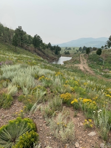 49.99 Fully Fenced Acre Lot for Sale in Cotopaxi Colorado - image 6