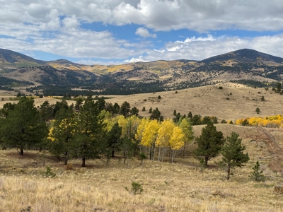 49.99 Fully Fenced Acre Lot for Sale in Cotopaxi Colorado - image 17