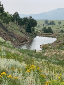 49.99 Fully Fenced Acre Lot for Sale in Cotopaxi Colorado - image 1