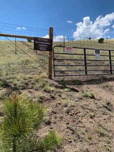 49.99 Fully Fenced Acre Lot for Sale in Cotopaxi Colorado - image 21