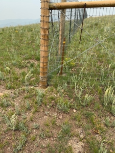 49.99 Fully Fenced Acre Lot for Sale in Cotopaxi Colorado - image 2