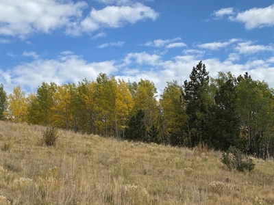 49.99 Fully Fenced Acre Lot for Sale in Cotopaxi Colorado - image 16