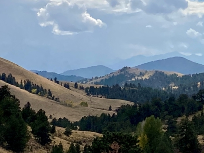 49.99 Fully Fenced Acre Lot for Sale in Cotopaxi Colorado - image 19