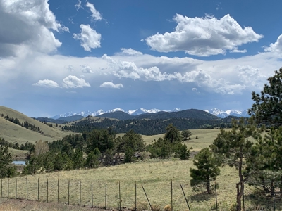 49.99 Fully Fenced Acre Lot for Sale in Cotopaxi Colorado - image 22