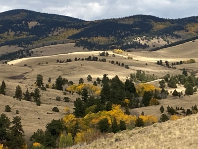 49.99 Fully Fenced Acre Lot for Sale in Cotopaxi Colorado - image 10