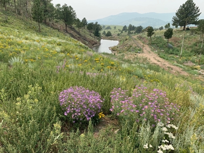 49.99 Fully Fenced Acre Lot for Sale in Cotopaxi Colorado - image 8