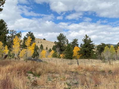 49.99 Fully Fenced Acre Lot for Sale in Cotopaxi Colorado - image 23