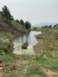 49.99 Fully Fenced Acre Lot for Sale in Cotopaxi Colorado - image 9