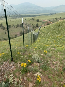 49.99 Fully Fenced Acre Lot for Sale in Cotopaxi Colorado - image 3