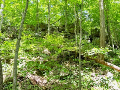 Hunting Land, with Log Cabin, for sale, Munfordville 42765 - image 31