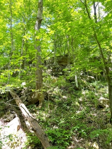Hunting Land, with Log Cabin, for sale, Munfordville 42765 - image 29