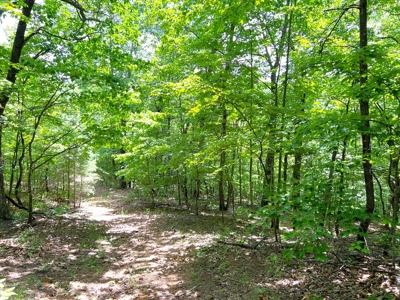 Hunting Land, with Log Cabin, for sale, Munfordville 42765 - image 24