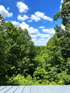 Hunting Land, with Log Cabin, for sale, Munfordville 42765 - image 11