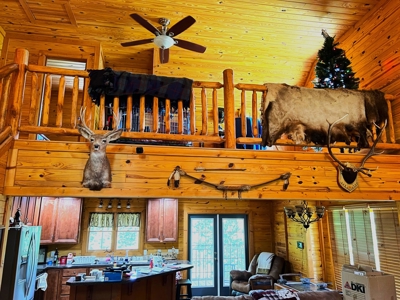 Hunting Land, with Log Cabin, for sale, Munfordville 42765 - image 16