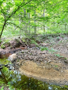 Hunting Land, with Log Cabin, for sale, Munfordville 42765 - image 27