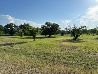 Lot 598 on The Hideout Golf Course at Lake Brownwood, TX - image 3