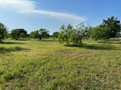 Lot 598 on The Hideout Golf Course at Lake Brownwood, TX - image 7