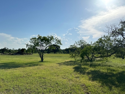 Lot 598 on The Hideout Golf Course at Lake Brownwood, TX - image 18