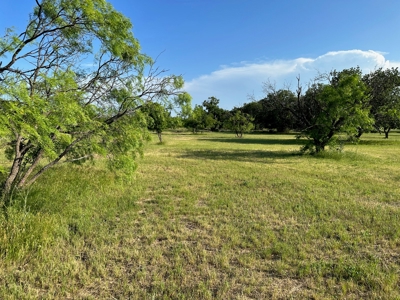 Lot 598 on The Hideout Golf Course at Lake Brownwood, TX - image 19