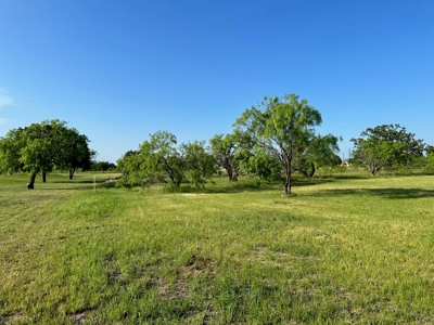 Lot 598 on The Hideout Golf Course at Lake Brownwood, TX - image 12