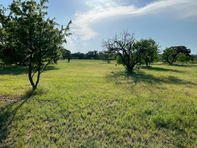 Lot 598 on The Hideout Golf Course at Lake Brownwood, TX - image 6
