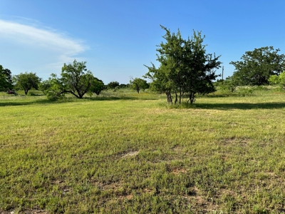 Lot 598 on The Hideout Golf Course at Lake Brownwood, TX - image 9
