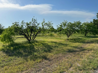Lot 598 on The Hideout Golf Course at Lake Brownwood, TX - image 5