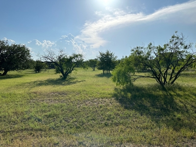Lot 598 on The Hideout Golf Course at Lake Brownwood, TX - image 4