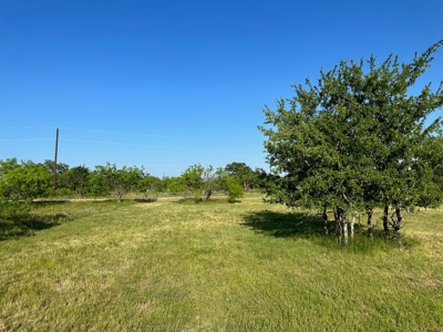 Lot 598 on The Hideout Golf Course at Lake Brownwood, TX - image 16