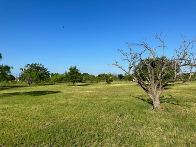 Lot 598 on The Hideout Golf Course at Lake Brownwood, TX - image 11