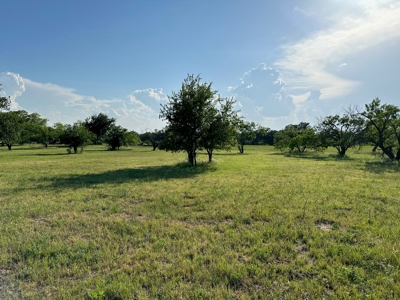 Lot 598 on The Hideout Golf Course at Lake Brownwood, TX - image 20