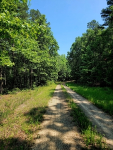 Lot For Sale In Fairfield Bay Arkansas - image 4