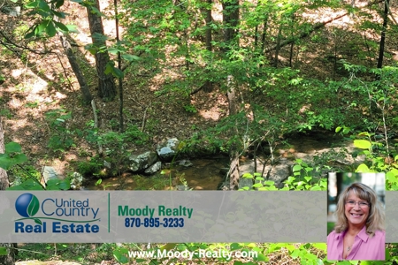 Lot For Sale In Fairfield Bay Arkansas - image 6
