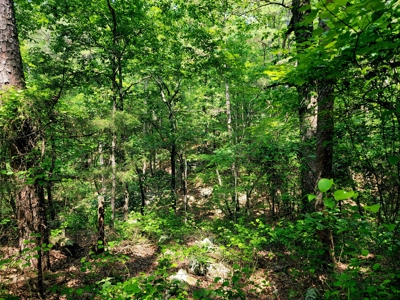 Lot For Sale In Fairfield Bay Arkansas - image 2