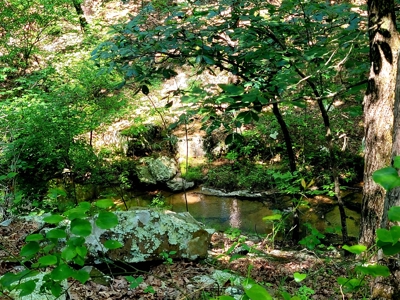 Lot For Sale In Fairfield Bay Arkansas - image 3