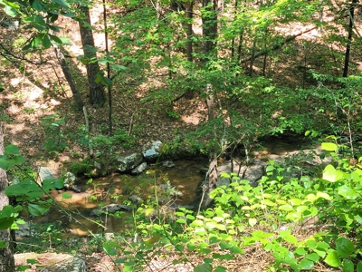 Lot For Sale In Fairfield Bay Arkansas - image 1