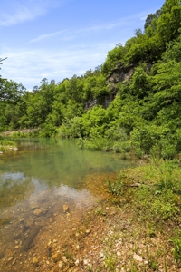 Hunting Property Surrounded by National Forest - image 16
