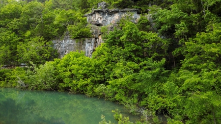 Hunting Property Surrounded by National Forest - image 14