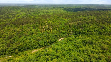 Hunting Property Surrounded by National Forest - image 13