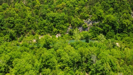 Hunting Property Surrounded by National Forest - image 7